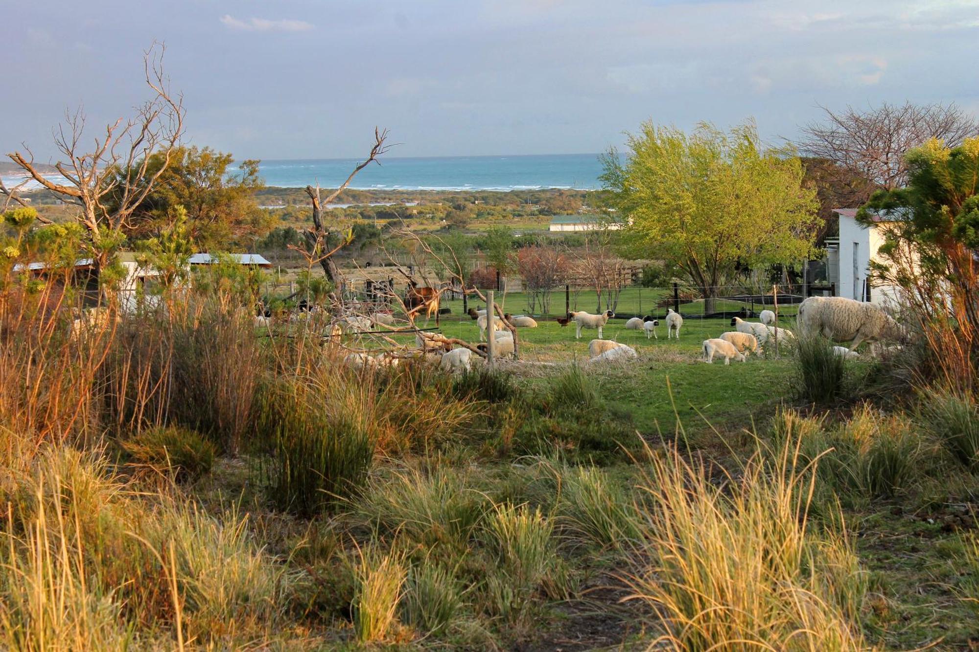 Blombos Self-Catering House Villa Franskraalstrand Eksteriør billede