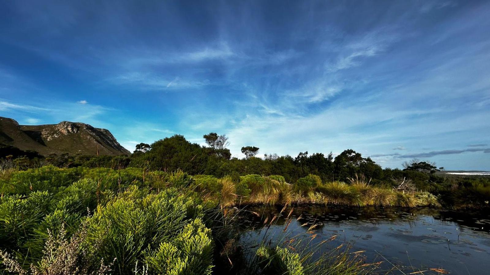 Blombos Self-Catering House Villa Franskraalstrand Eksteriør billede