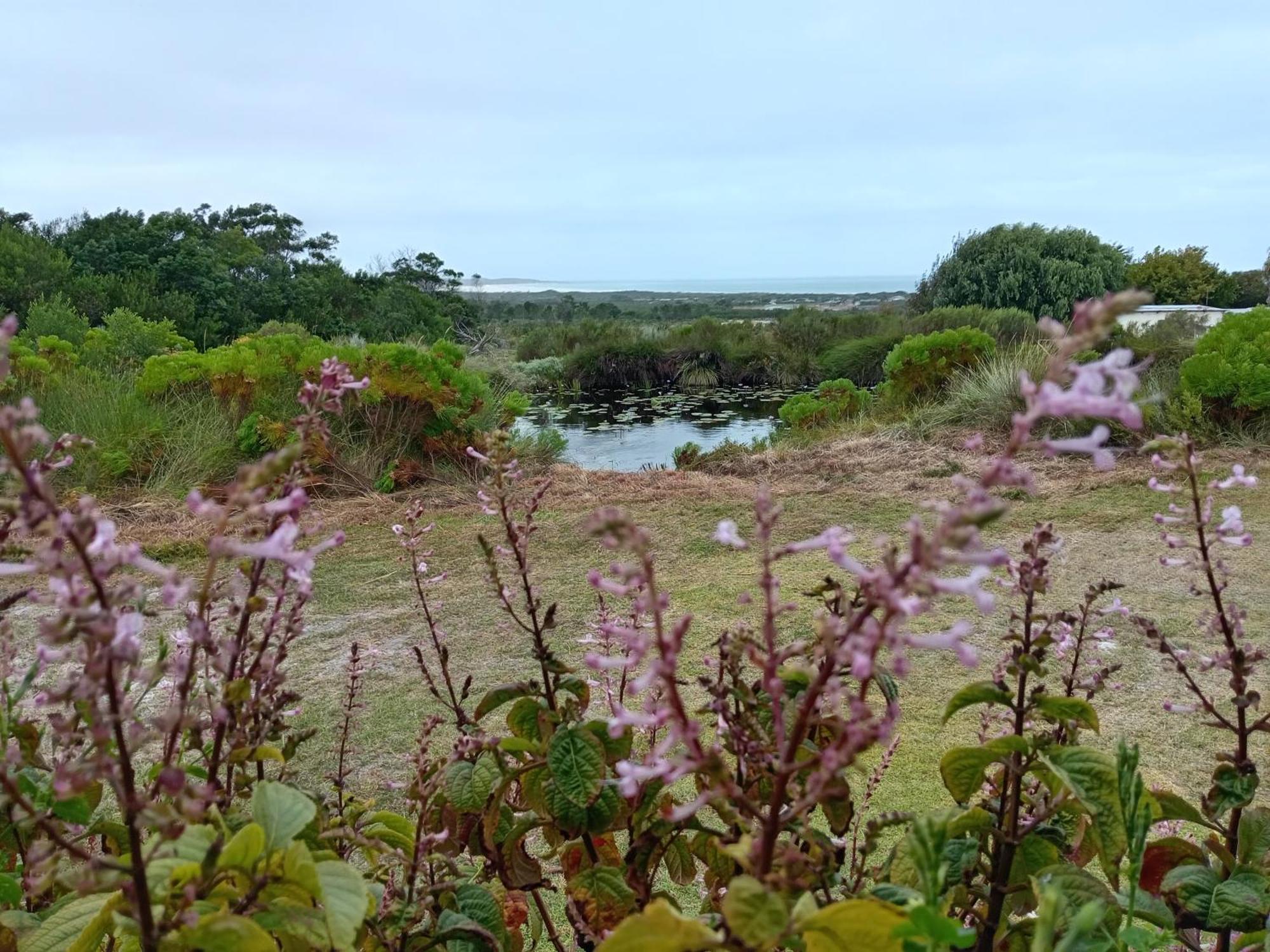 Blombos Self-Catering House Villa Franskraalstrand Eksteriør billede